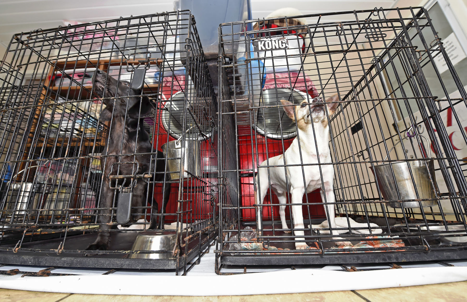 BR.shelterdelivery0176.060219 bf.jpg